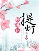 《提灯映桃花》