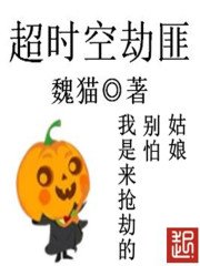 《超时空劫匪》