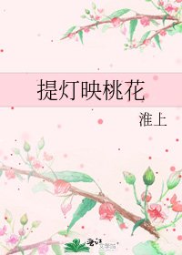 《提灯映桃花》